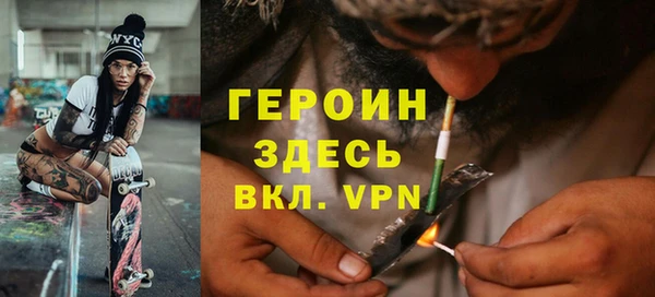 индика Ельня