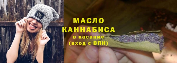индика Ельня