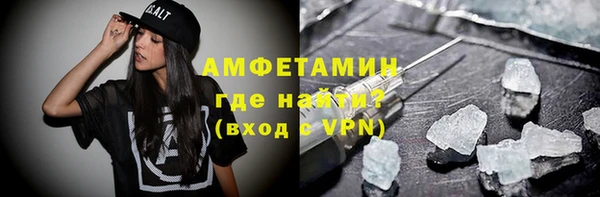 индика Ельня