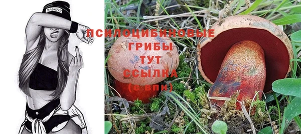 не бодяженный Елабуга