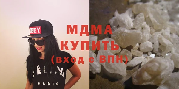 индика Ельня