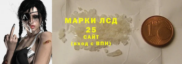 СК Елизово