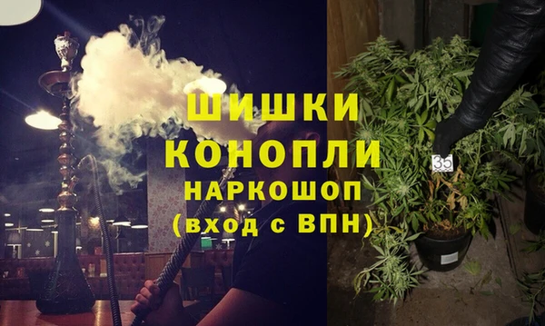 СК Елизово