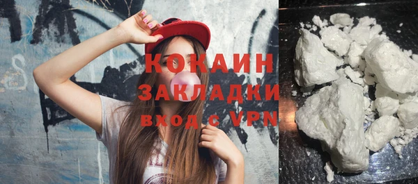 индика Ельня