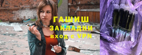 индика Ельня