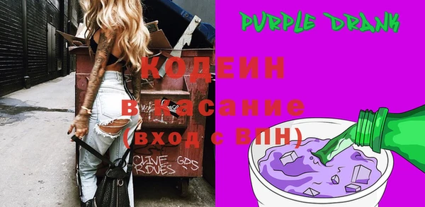 индика Ельня