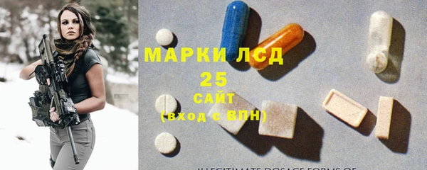 индика Ельня