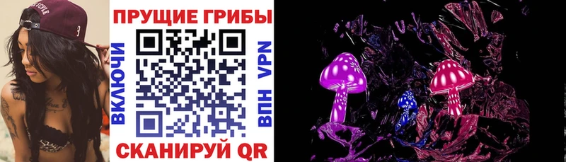 Псилоцибиновые грибы мицелий  Купить закладки  Орехово-Зуево 